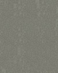 Aristocrat 97 Pewter by  Abbeyshea Fabrics 