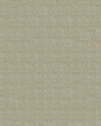 Arlie 6006 Putty by  Abbeyshea Fabrics 