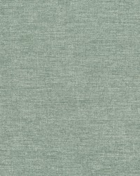 Asher 21 Mint by  Abbeyshea Fabrics 