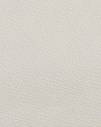 Beluga BEL 3303 Off White by  Abbeyshea Fabrics 