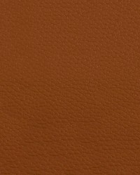 Beluga BEL 3307 Ochre by   