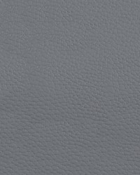 Beluga BEL 3310 Pearl Grey by  Abbeyshea Fabrics 