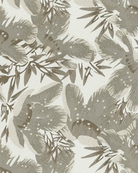 Bewitch 608 Oak by  Abbeyshea Fabrics 