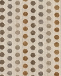 Biscotti 61 Desert by  Abbeyshea Fabrics 