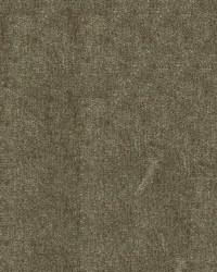 Boca 85 Taupe by  Abbeyshea Fabrics 