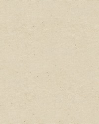 Canvas Untreated Army Duck White by  Abbeyshea Fabrics 