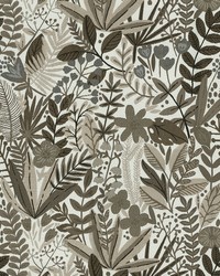 Captivate 608 English Oak by  Abbeyshea Fabrics 