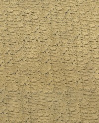 Carrara 54 Coin by  Abbeyshea Fabrics 