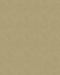 Claro 6003 Beige by  Abbeyshea Fabrics 