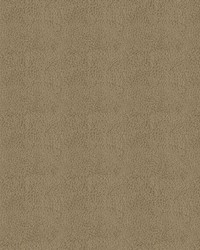 Claro 6009 Taupe by  Abbeyshea Fabrics 