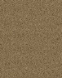 Claro 606 Tan by  Abbeyshea Fabrics 