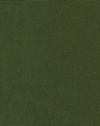Cordura 1000 28 Army Green by  Abbeyshea Fabrics 