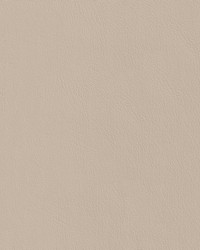 Corinthian Soft 7691 V Lt Cashmere by  Abbeyshea Fabrics 