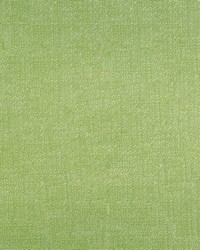 Denali 202 Pear by  Abbeyshea Fabrics 