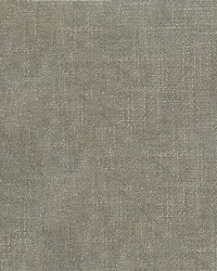 Denali 91 Pewter by  Abbeyshea Fabrics 