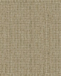 Dover 64 Sisal by  Abbeyshea Fabrics 