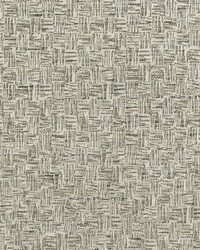 Edisto 84 Birch by  Abbeyshea Fabrics 