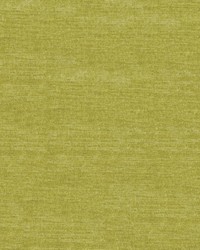 Elizabeth 202 Citrine by  Abbeyshea Fabrics 