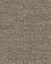 Elizabeth 608 Pumice by  Abbeyshea Fabrics 