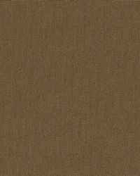 Exuberance 6009 Taupe by  Abbeyshea Fabrics 