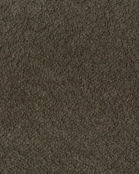 Felicity 603 Taupe by   
