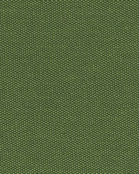 Filbert 208 Grass by  Abbeyshea Fabrics 