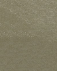 Glaze 107 Pumice by  Abbeyshea Fabrics 