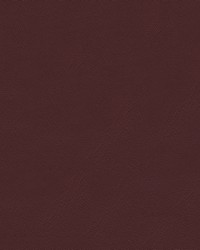 Grand Prix 9460 Cranberry by  Abbeyshea Fabrics 