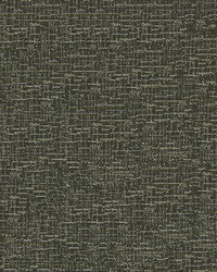 Imagine 6009 Chinchilla by  Abbeyshea Fabrics 