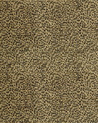 Intent 54 Cheetah by  Abbeyshea Fabrics 