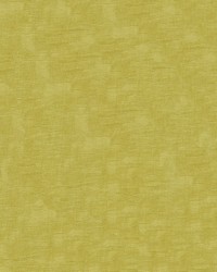 Intrigue 202 Chartreuse by  Abbeyshea Fabrics 