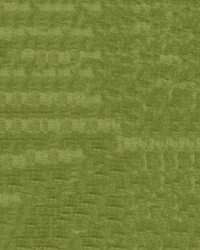 Intrigue 27 Olive by  Abbeyshea Fabrics 