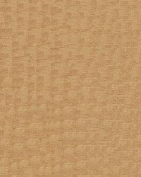 Intrigue 8006 Nutmeg by  Abbeyshea Fabrics 