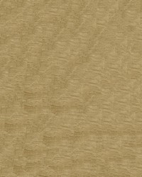 Intrigue 805 Pecan by  Abbeyshea Fabrics 