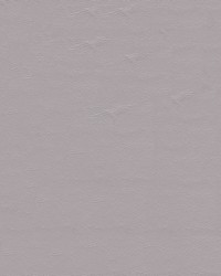 Islander 9152 Lt. Grey by  Abbeyshea Fabrics 