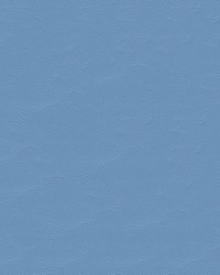 Islander 9156 Baby Blue by  Abbeyshea Fabrics 