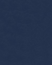 Islander 9158 Silver Blue by  Abbeyshea Fabrics 