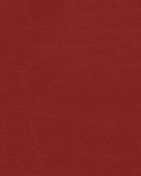 Islander 9160 Ruby Red by  Abbeyshea Fabrics 