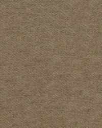 Julep 608 Maple by  Abbeyshea Fabrics 