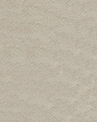 Julep 61 Magnolia by  Abbeyshea Fabrics 