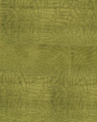 Lanai 205 Palm by  Abbeyshea Fabrics 