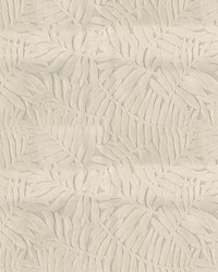 Lanai 61 Vellum by  Abbeyshea Fabrics 