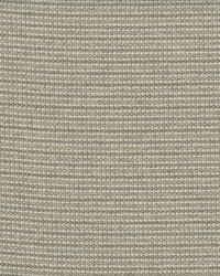 Legacy 61 Vanilla by  Abbeyshea Fabrics 