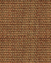 Louis 41 Apricot by  Abbeyshea Fabrics 