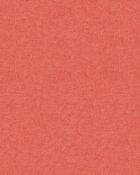 Monroe 11 Coral by  Abbeyshea Fabrics 