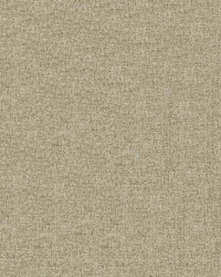 Monroe 81 Quartz by  Abbeyshea Fabrics 