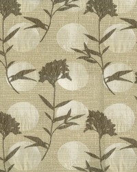 Moon Shadow 602 Limestone by  Abbeyshea Fabrics 