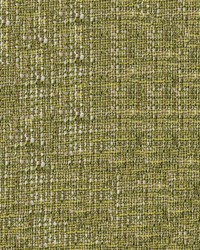 Moritz 202 Sprout by  Abbeyshea Fabrics 