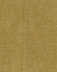 Muse 408 Gold by  Abbeyshea Fabrics 