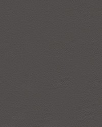 Nuance 2461 Medium Dark Pewter by   